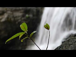 Panasonic Lumix DMC-GF1 AF + MF test