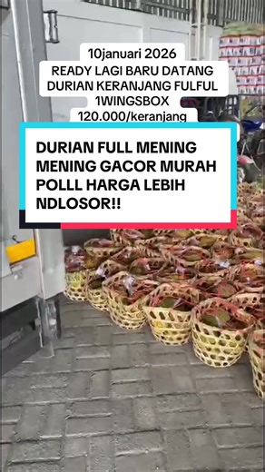 Durian Keranjang Termurah di Mojokerto, Harga Terjun Bebas!