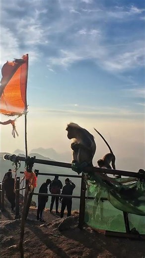 Relaxing Nature Video 🌿 | Beautiful Scenery, Peaceful Music & Stress Relief