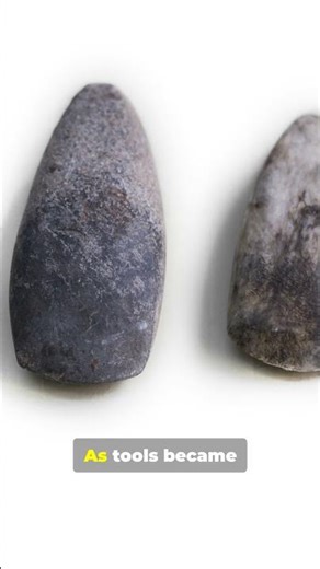 stone - the first technology