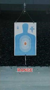 Minnesota allowing Government to take your guns!