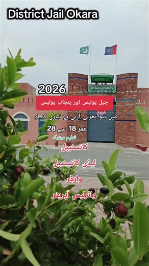 Government Jobs 2026: District Jail Okara Recruitment