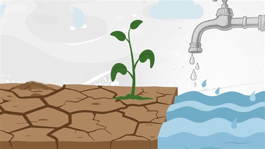 A dry state in the making: India is running out of water