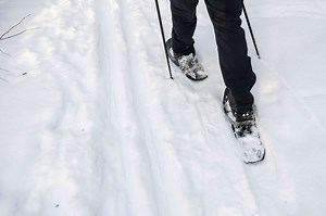Guided snowshoe hikes through woods, snow-covered dunes coming to Up North state park