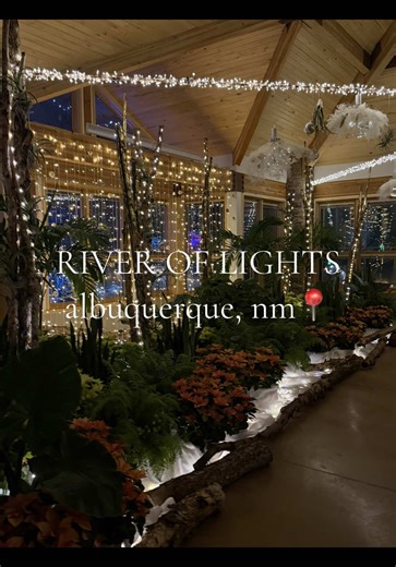 The river of lights was magical this year! It’s definitely improved ✨🎄☃️ #albuquerquenewmexico #albuquerque #newmexico #riveroflights #abqnm