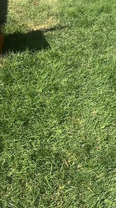 983K views · 6.4K reactions | STOP BUYING THIS JUNK AT YARD SALES! #yardsale #garagesale | Cary Williams | Facebook