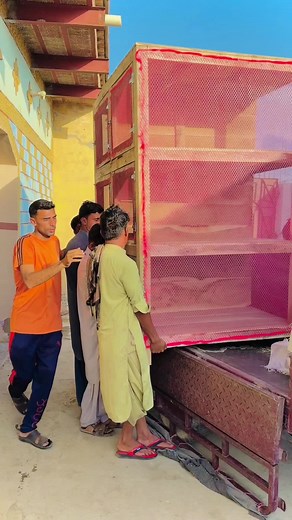 Idrees_Kabootar_Baz on TikTok