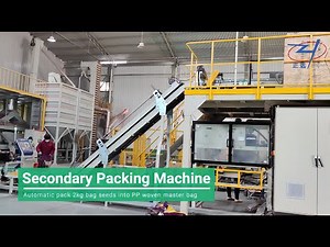 Bag in Bag Secondary Packing Machine | 1KG/2KG bag into PP Woven Master Bag