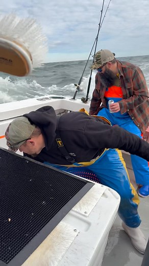 Thomas Fazio on Reels