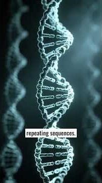 The Hidden Message Within DNA
