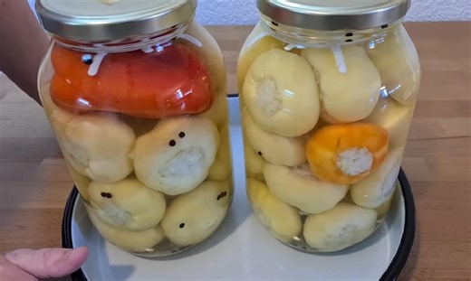 Kisele paprike punjene kupusom, bez konzervansa: Spremaju se za manje od 30 minuta