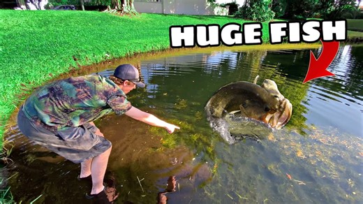 These Massive Largemouth Bass Are Moving Into My Pond
