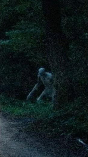 Check out our newest found footage short film Beargrass Creek! #foundfootage #horror