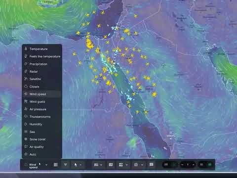 Wind Speed Map UI