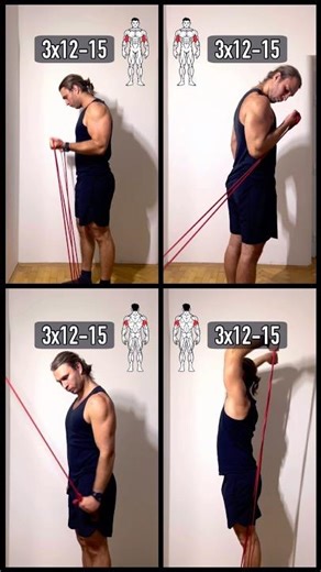 Best Bands Arm Workout (NO WEIGHTS!) #shorts