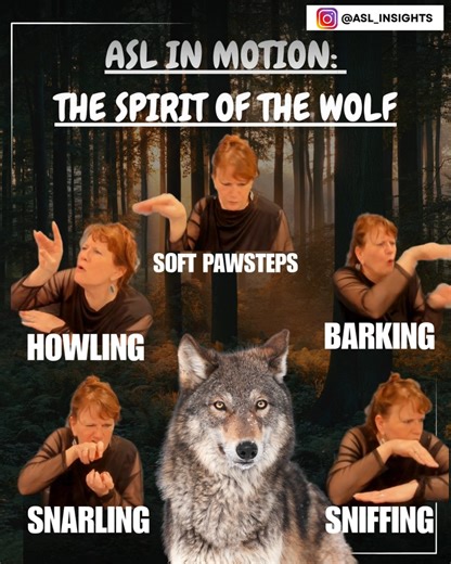 Here’s another intriguing character to explore—a wolf that pries, howls, sniffs, and snarls. Use these traits to inspire your ASL character development, bringing the wolf’s energy and emotion to life through movement and expression. #classifiers #signlanguage #americansignlanguage #storytelling #soundeffects #motions #visuallanguage #teachersofinstagram #teacherforthedeaf #dhh #aslinmotion #CreepySounds #HalloweenVibes #eerieambience #DeafVoices #ASLInMotion #SignLanguageArt #NonManualSignals #D