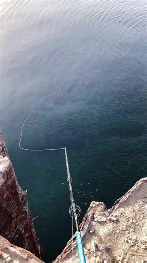 China Angler Drops INSANE Footage—THIS Is What a REAL Fish Swarm Looks Like! 🤯 #saltwaterfishing #fishinglife #fishing #rooblinosreels