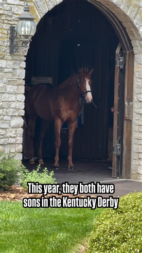 126K views · 5.3K reactions | Two Triple Crown winners with sons in...