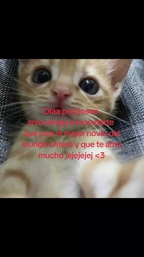 Olaa precioso: mensaje romántico y tierno para tu novio