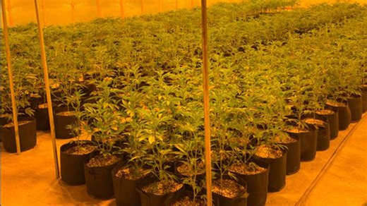 OMMA warning Oklahoma marijuana dispensaries after thousands of passed tests actually failed