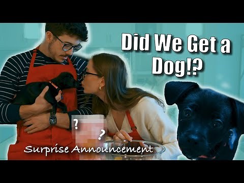 Cooking Up Cuteness OVERLOAD! | Cooking With Bradley