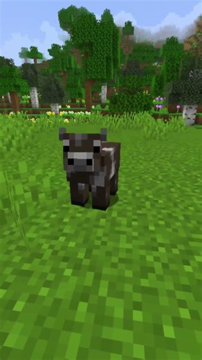 Introducing New Dandelion