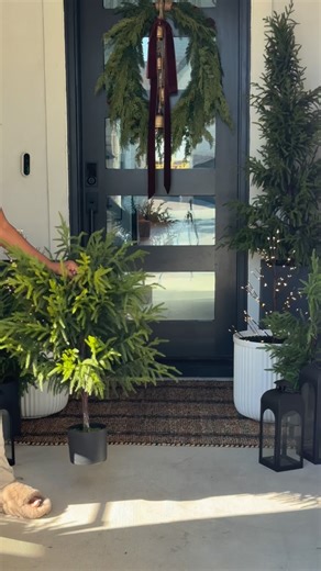 Funny Story! I recorded this Christmas content mid-October… then we took a trip and celebrated Halloween with Christmas still up at the house! 😅 Since we weren’t home for trick-or-treating, I checked my camera to see if any cute kiddos stopped by …. and one tiny legend did… with some honest feedback: 😭🤣 (check out his cute reaction in my highlights titled Bloopers) Content creator life means Halloween decor in July and Christmas decor in October. The kids are just out here keeping us humble. 