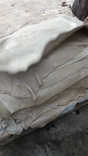 4.5 mm natural vegetable‑tanned leather is a hefty, full‑grain hide that’s dense enough for heavy‑duty items like sole plates, thick belts, saddles, or luggage panels. It’s still soft enough to shape with heat and oil, and it will develop a deep, warm patina over time. A typical hide of this thickness weighs about 5–6 kg and covers roughly 12–15 sq ft. What are you planning to craft with it? #vegtan #4.5mm #fullgrain #naturalhide #heavyleather #patina #leathercraft #handmade #saddlery #soleleath