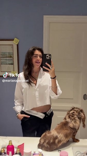 Wally's Journey with Border Collie Puppies