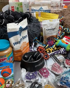 Smashbox Cosmetics on Reels