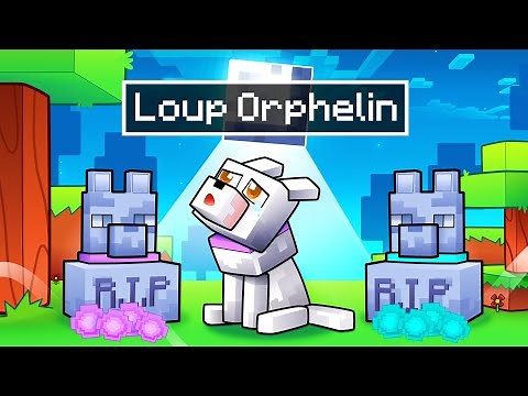 J'ADOPTE un LOUP ORPHELIN dans MINECRAFT !