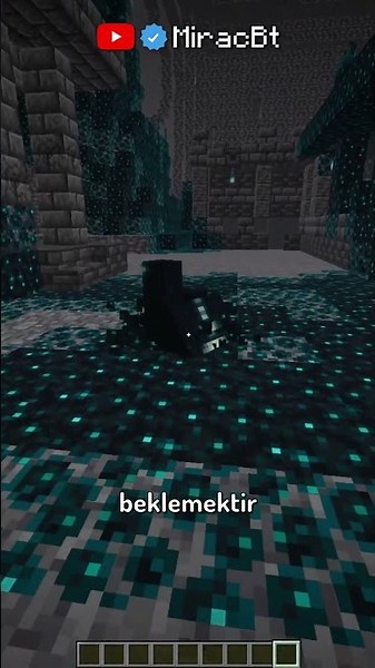 IN MINECRAFT, DON'T DISTRACT WARDEN! ⛏💎