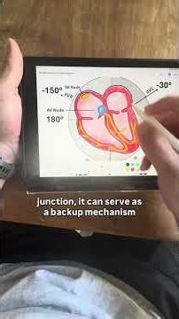 Junctional Escape Beats