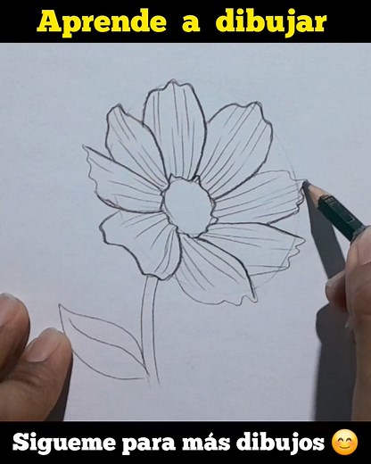 Dibujo paso a paso de una flor margarita. #flores #flowers #dibujosart #dibujosacolor #dibujoacolor #dibujosfaciles #dibujosasombrosos #dibujoypintura #dibujotradicional #drawingsofinstagram #dibujar #dibujo #dibujosanimados #dibujosalapiz #dibujoartistico #dibujoamano #dibujoalapiz #dibujoamanoalzada #drawingoftheday #drawingtutorial #drawingsketch #sketchbookchallenge #artgallery | Dibujos y Curiosidades a Color
