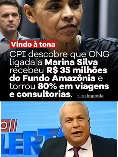 Ipam e Fundo Amazônia: Investimento em Preservação