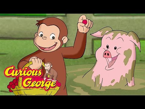Look After the Farm! 🐵 Curious George 🐵 Kids Cartoon 🐵 Kids Movies