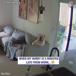 Me planning what to do when my hubby comes home 😜 | HomeChic