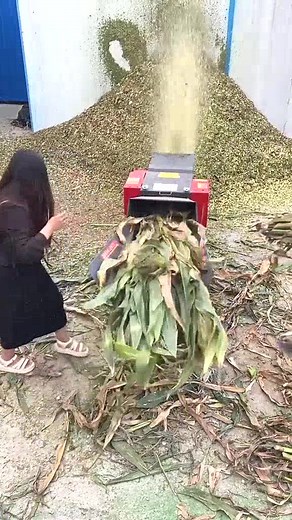 Electric Chaff Cutter Machine for Efficient Feed Production