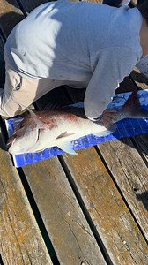 Have had several requests to see Monty’s fish getting landed, so this is for those that missed it 🙃🎣 | Kelly Panic