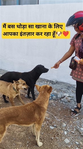 बहुत भूखा हूँ… थोड़ा सा खाना दे दीजिए 🐾🐕❤️#dog #doggielife #dogshorts #trending #shortsviral #puppy
