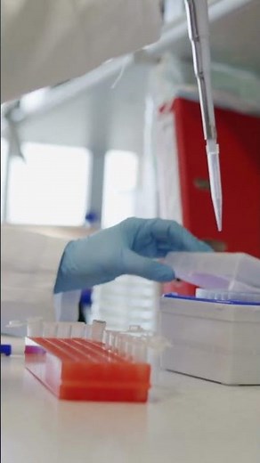 How to use a pipette correctly?