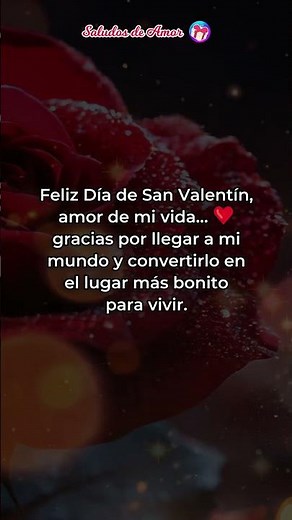 💖 Para ti que estas lejitos ¡Feliz DÍA DE SAN VALENTÍN! 💌 Mensajes de Amor a la Distancia