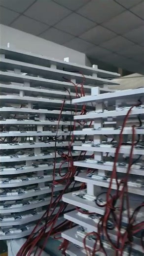 | Behind the Scenes | Custom LED Sign Manufacturing Line in Action