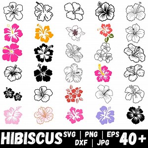 Hibiscus Flower SVG Bundle, Tropical Floral Clipart (digital Download - Etsy UK