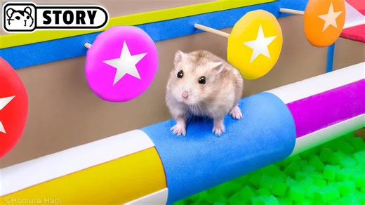 Hamster is joining Ninja Warrior! Today, the brave hamster decides to try becoming a Ninja Warrior. He goes through every obstacle and survives easily. | Homura Ham