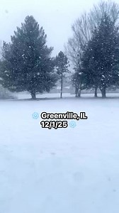 EPIC SNOWGLOBE SCENE from Greenville IL. 📸: Harley Primo. #snowfall #snow #snowglobe #southernillinois #GreenvilleIL | Southern Illinois Weather Information