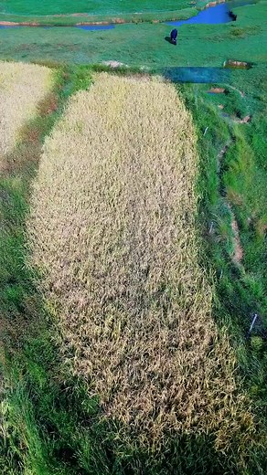 Autumn harvest scenes. #HarvestSeason #FarmLife | Gathering Place
