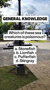 299K views · 964 reactions | GENERAL KNOWLEDGE Which of these sea creatures is poisonous? a. Stonefish b. Lionfish c. Pufferfish d. Stingray | Learn English | Facebook