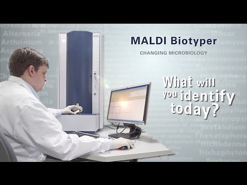 MALDI Biotyper System