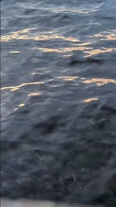 Instant Calming Waves for Deep Sleep (Full 2 HR Link in Comments!) #shorts #calmwaves #relaxation